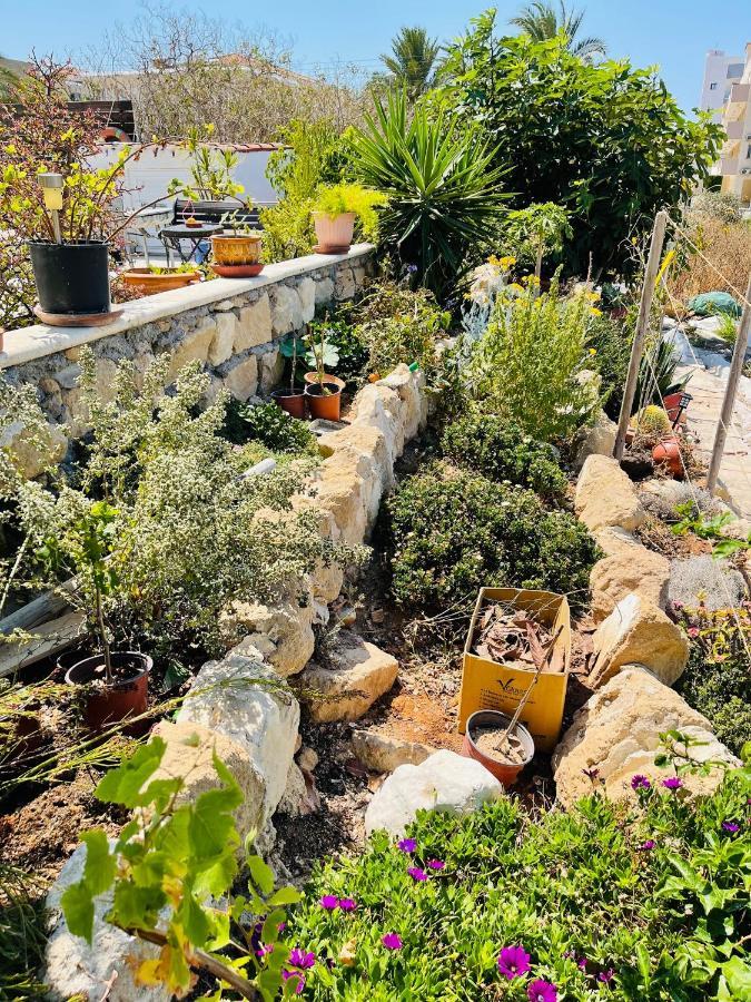 Peaceful Townhouse With Private Pool Near The Sea Apartamento Pafos Exterior foto